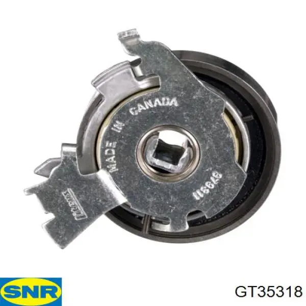 Comprar GT35318 SNR Tensor correa distribución