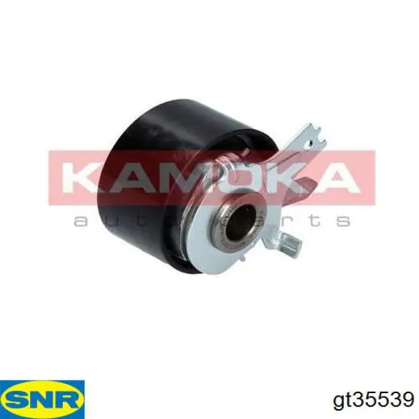 Rodillo, cadena de distribución Renault Megane 2 LM0, LM1