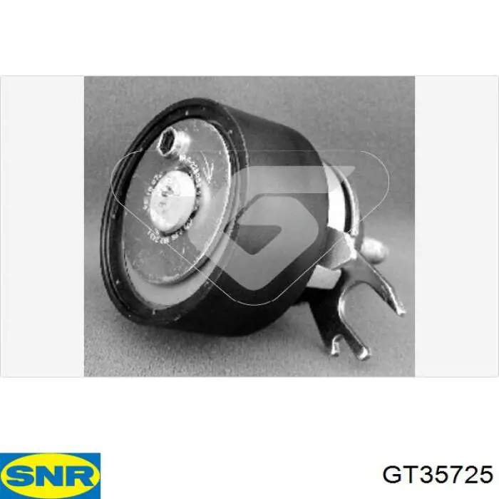 Tensor de la correa de distribución SNR GT35725 precio, desde 23,48 EUR