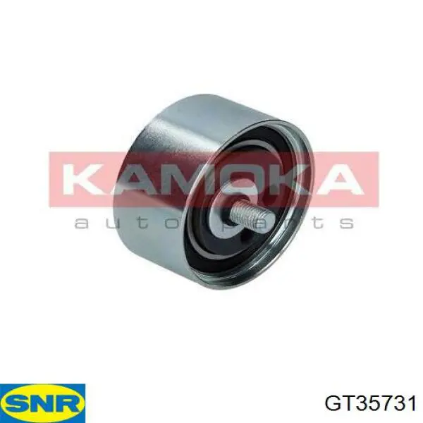 Rodillo tensor cadena Kamoka R0198