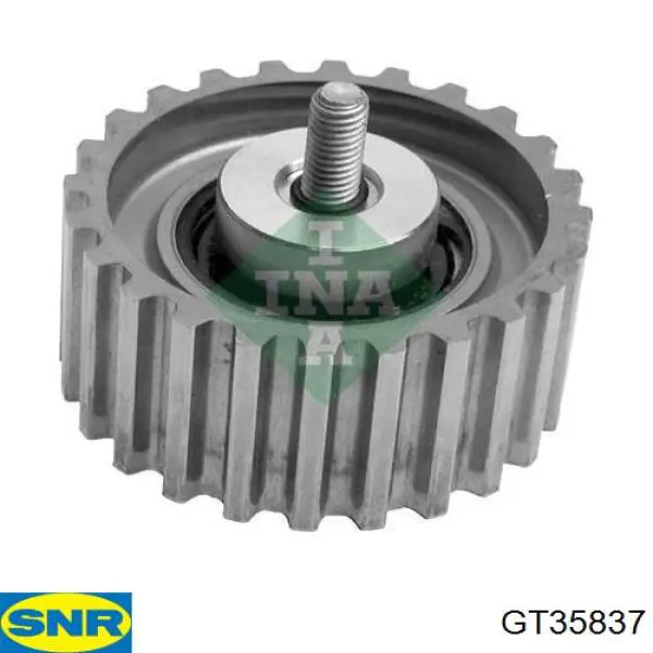 Rodillo intermedio de correa dentada Fiat Ducato 3 250