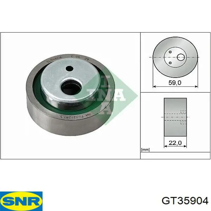 GT359.04 SNR rodillo, cadena de distribución