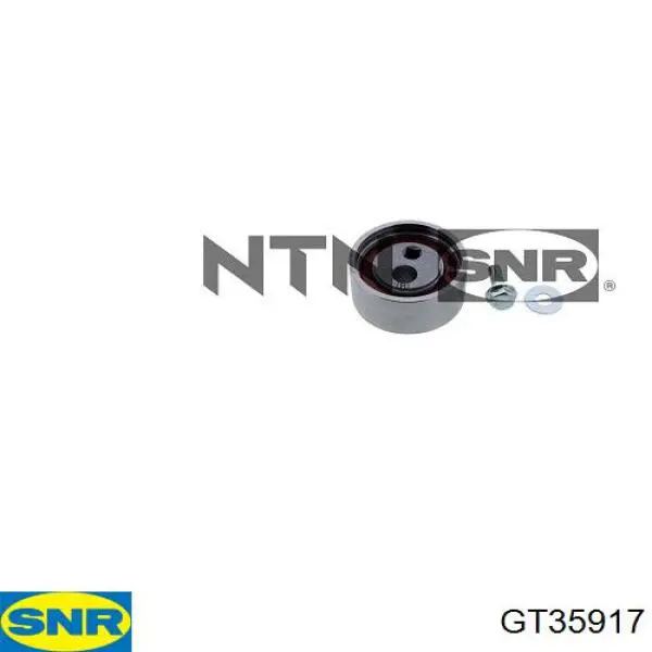 Rodillo tensor cadena SNR GT35917