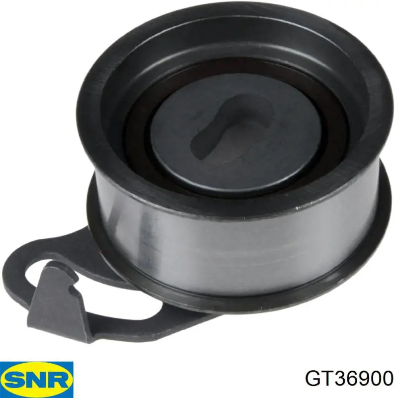 Tensor de la correa de distribución SNR GT36900 precio, desde 29,16 EUR