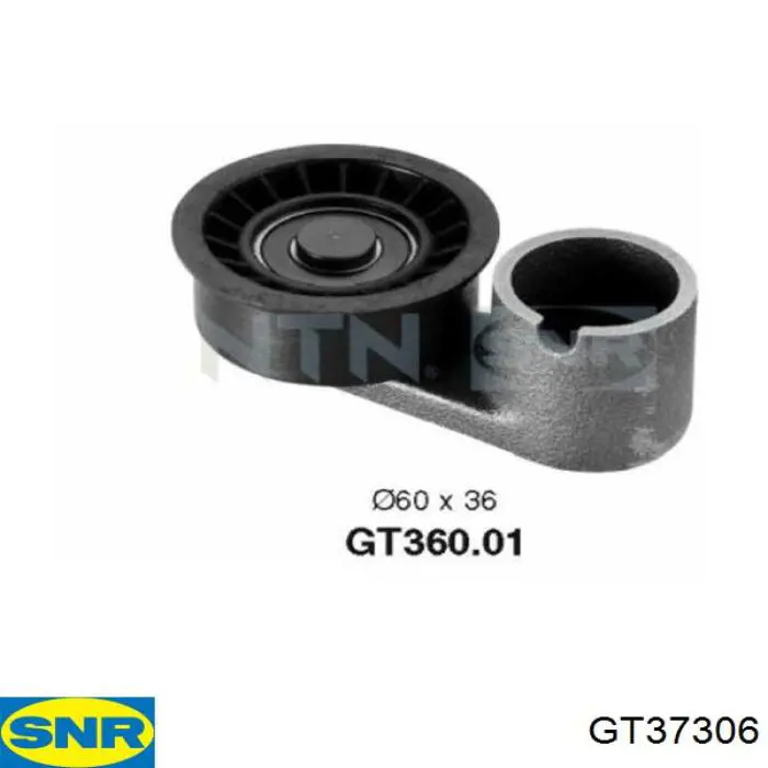 Tensor de la correa de distribución SNR GT37306 precio, desde 18,91 EUR