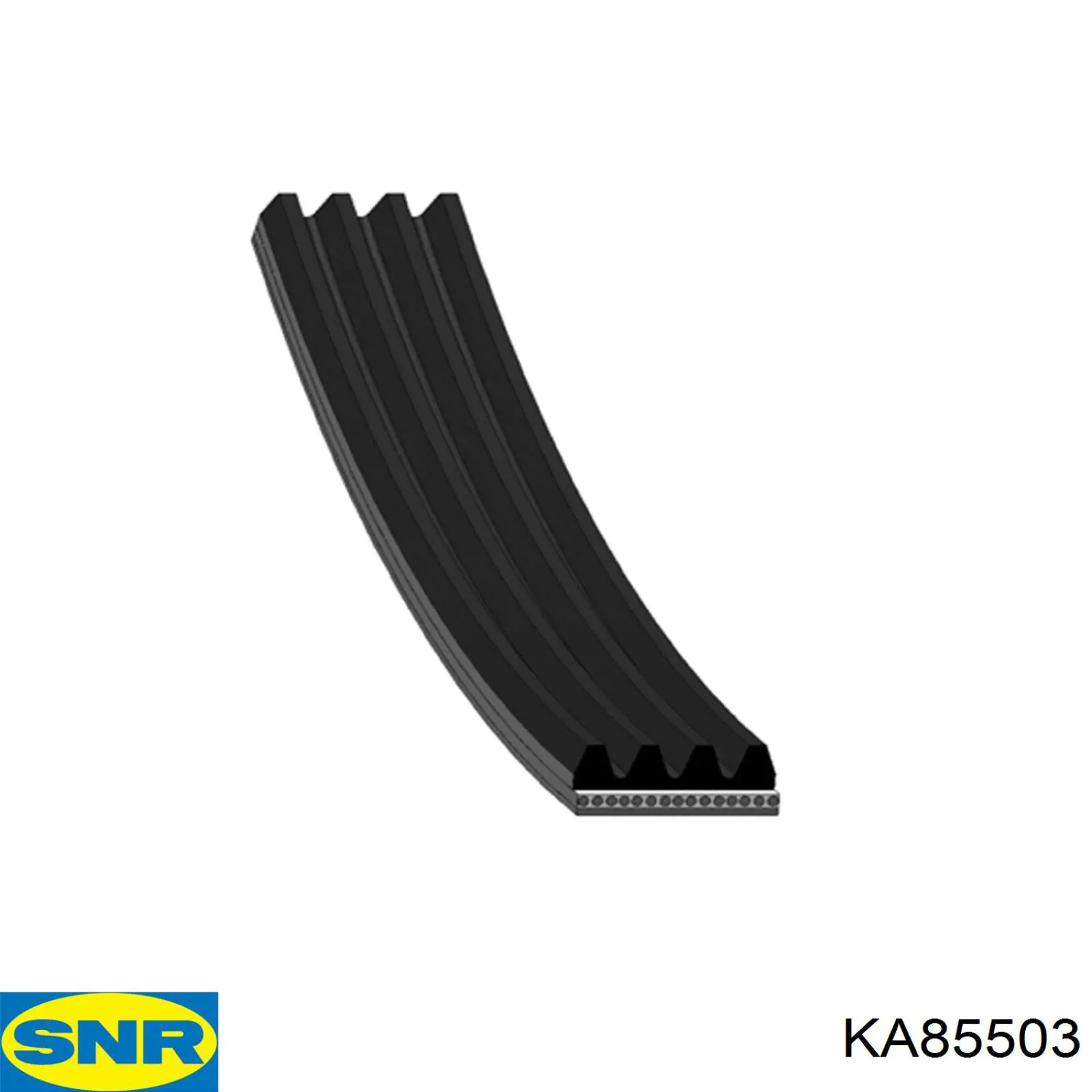 KA85503 SNR correa trapezoidal