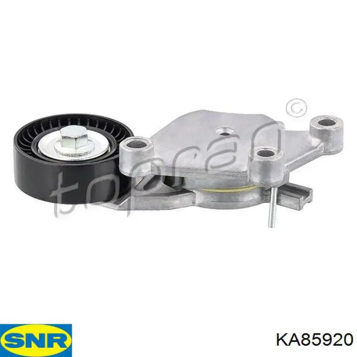 KA85920 SNR Correa de transmisión, completo