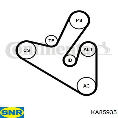 1613443980 Peugeot/Citroen correa de transmision, juego completo