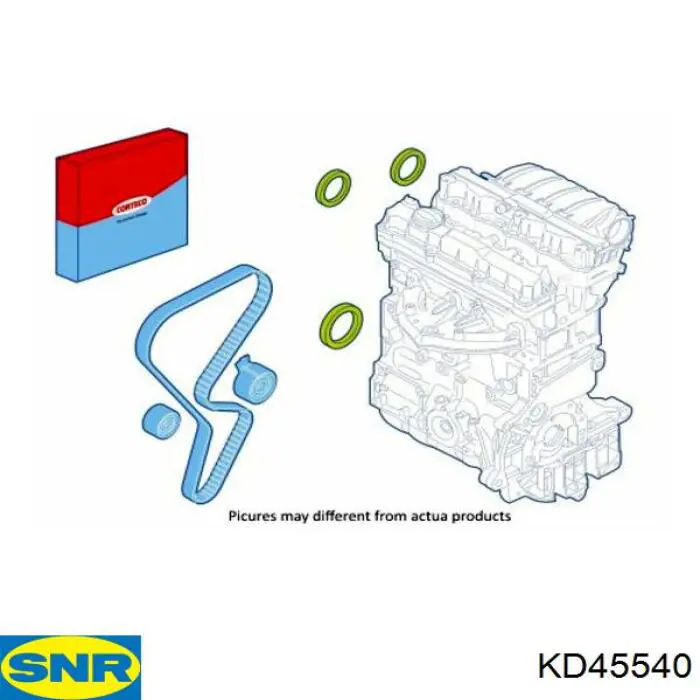 Kit correa de distribución Renault Megane 2 LM0, LM1