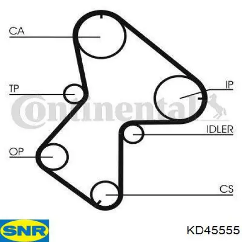 KD455.55 NTN kit correa de distribución