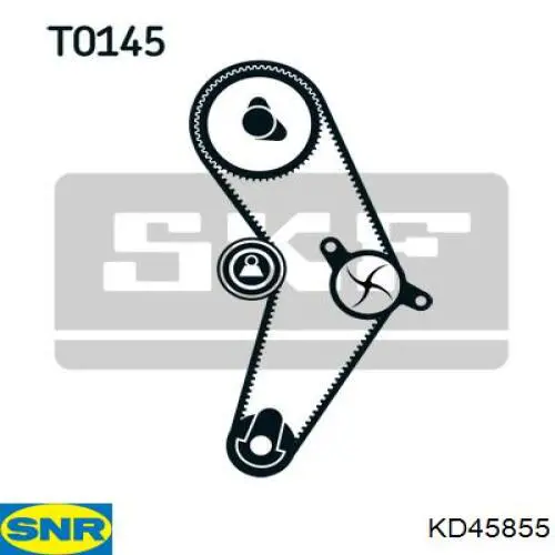 KD458.55 SNR kit correa de distribución