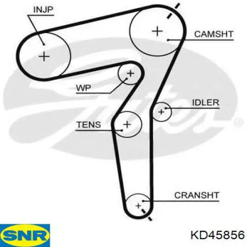 Comprar KD45856 SNR Kit de correa de distribución