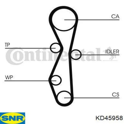 Juego de correas dentadas Mitsubishi MN982128 precio, desde 86,62 EUR
