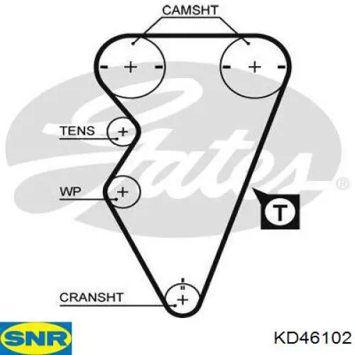 KD461.02 SNR kit correa de distribución