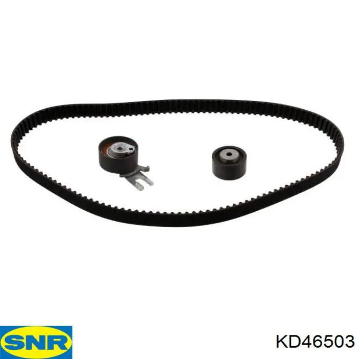 Kit de distribución KD46503 SNR