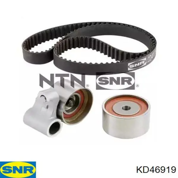 Juego de correas dentadas SNR KD46919 precio, desde 162,55 EUR