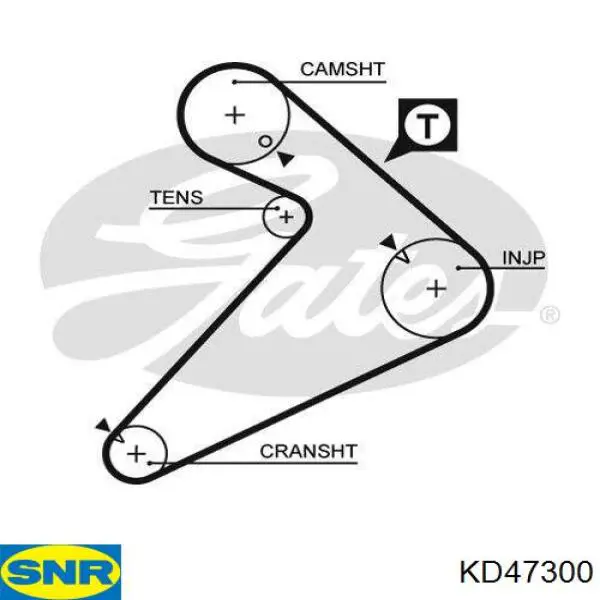 Kit distribución Dayco KTB677