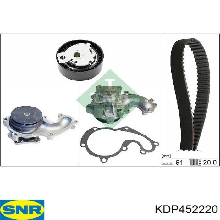 Kit de distribución BTW1049 Borg&beck