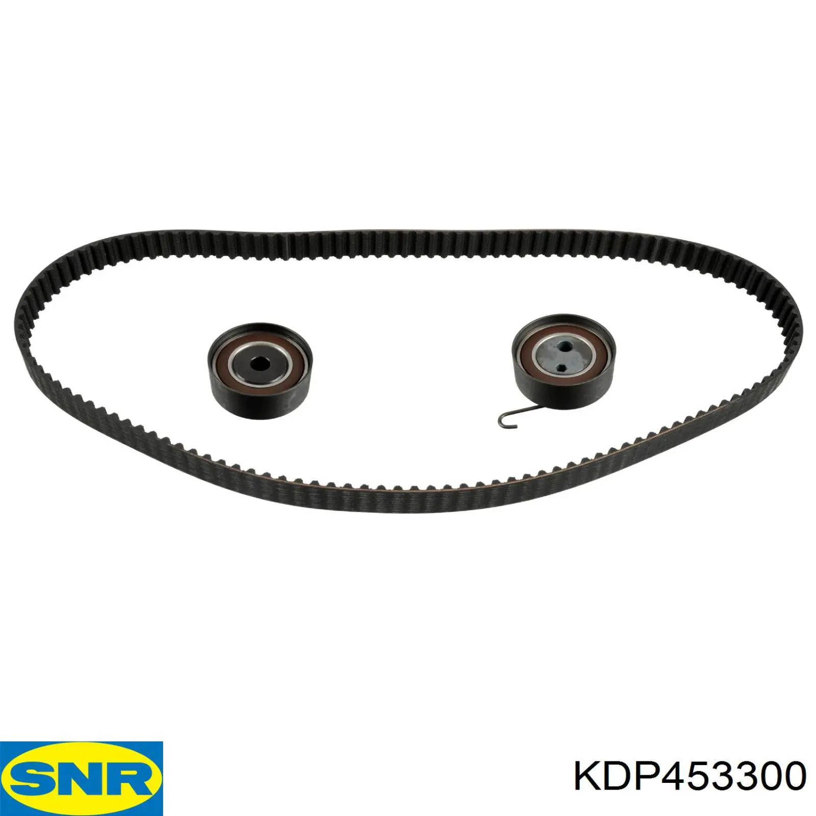Comprar KTBWP5310 Dayco Kit de correa de distribución
