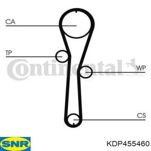 Comprar KDP455460 SNR Kit de correa de distribución