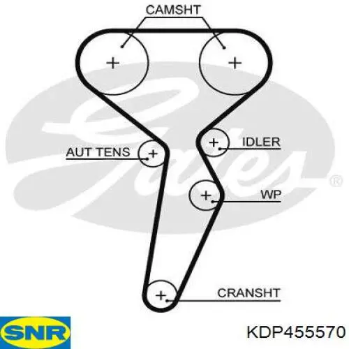 Comprar KDP455570 SNR Kit de correa de distribución