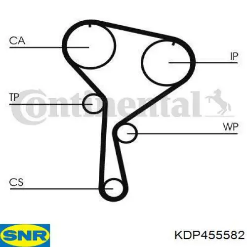 KDP455582 SNR kit de correa de distribución
