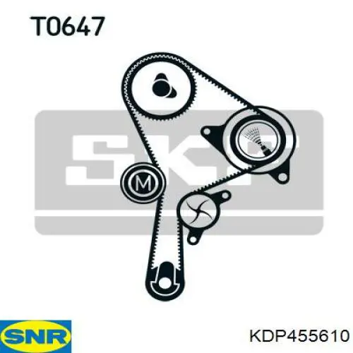 KDP455.610 SNR kit correa de distribución