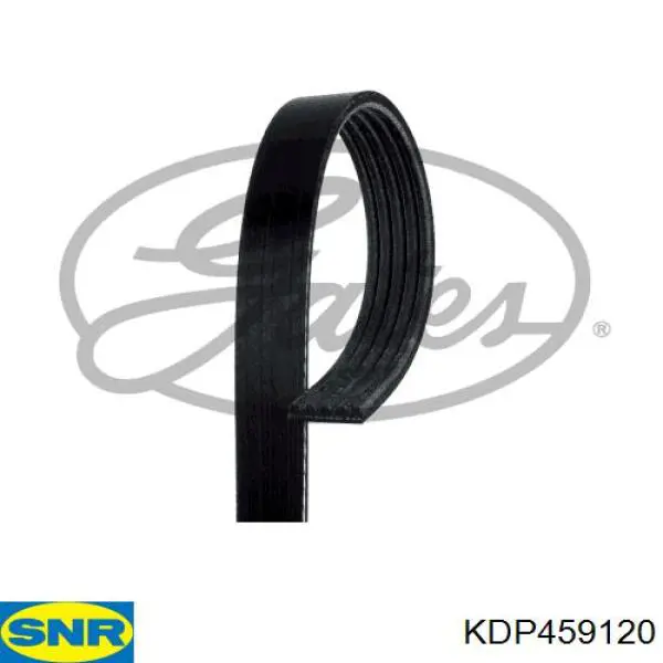 CT906WP1 Continental/Siemens Kit correa de distribución