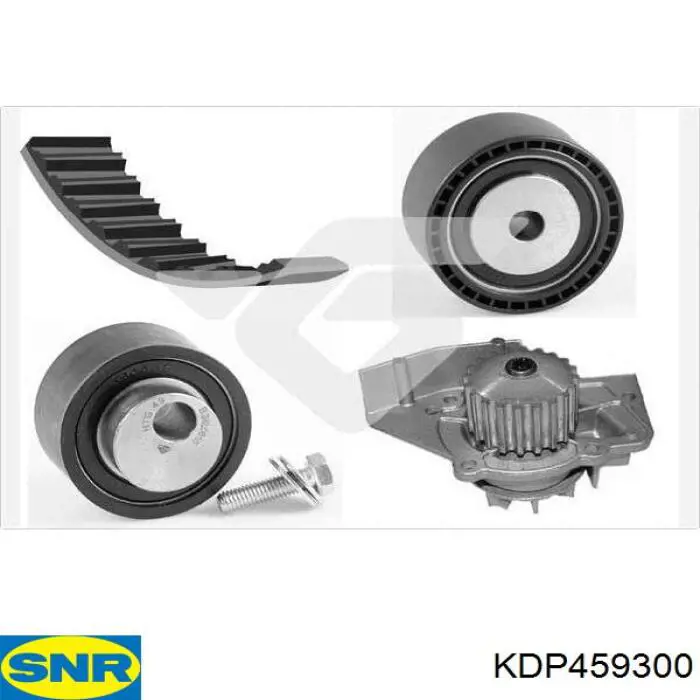 Juego de correas dentadas SNR KDP459300 precio, desde 75,44 EUR