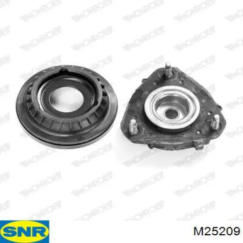  M25209 SNR