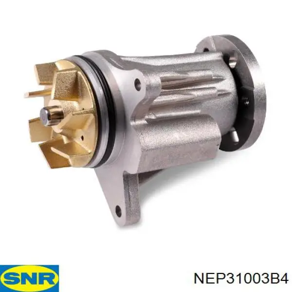 NEP31003B4 SNR