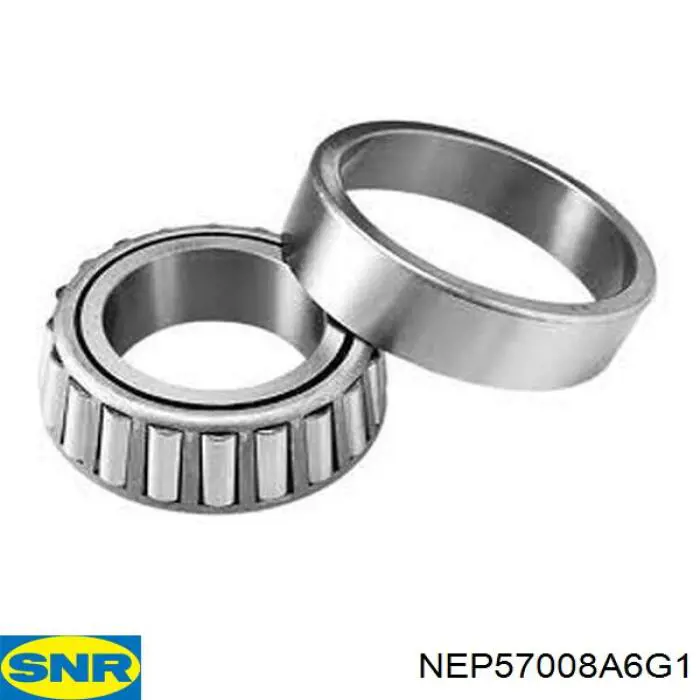 Tensor de la correa de distribución SNR NEP57008A6G1 precio, desde 28,13 EUR