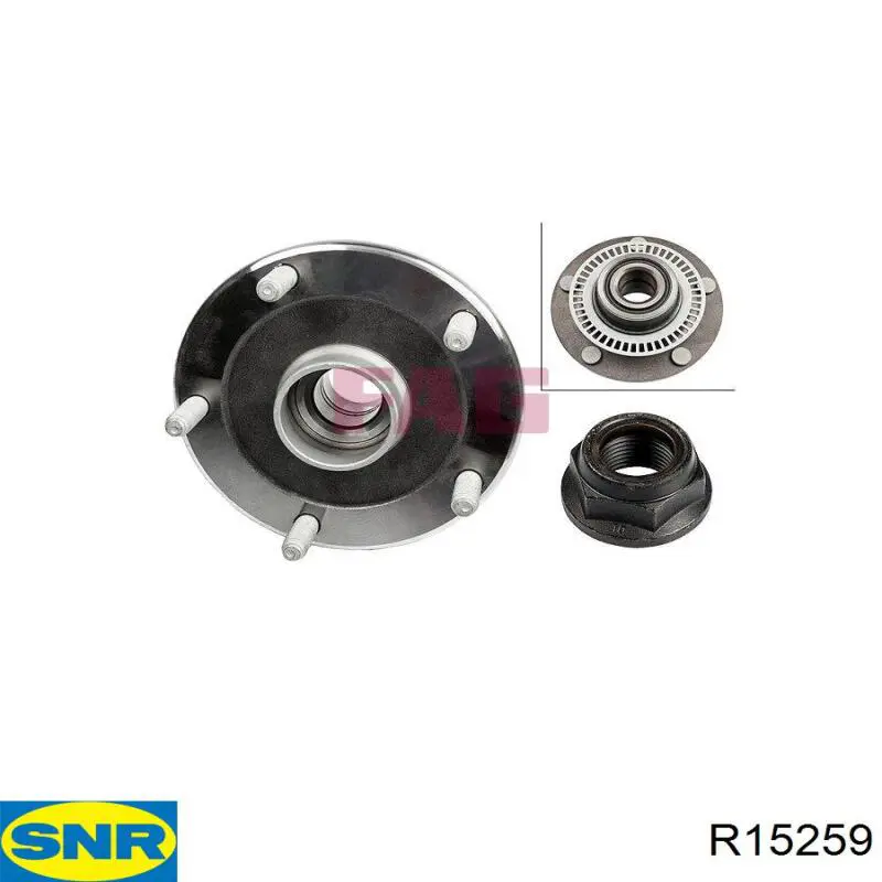 Cubo de rueda trasero R15259 SNR