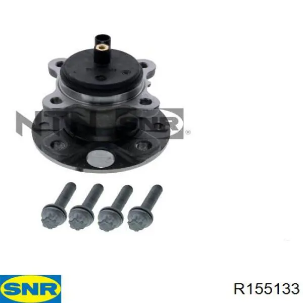 Cubo de rueda trasero 432100170R Renault (RVI)