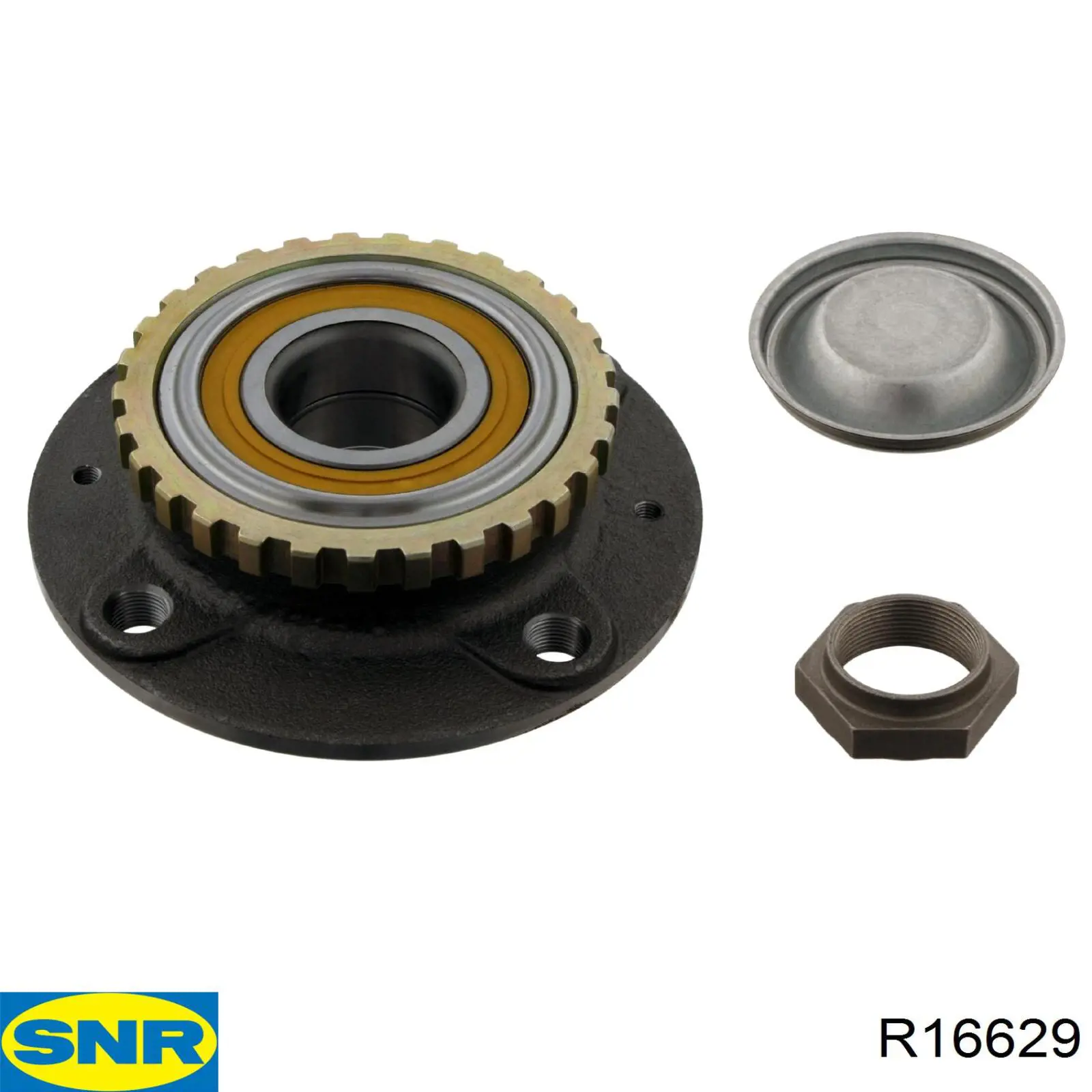 Comprar R16629 SNR Cubo de rueda, Eje trasero