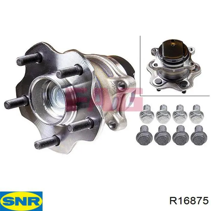R16875 SNR Buje de rueda trasero