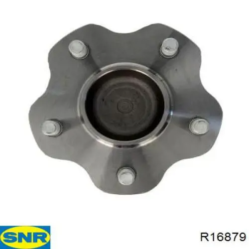 Comprar R16879 SNR Cubo de rueda, Eje trasero