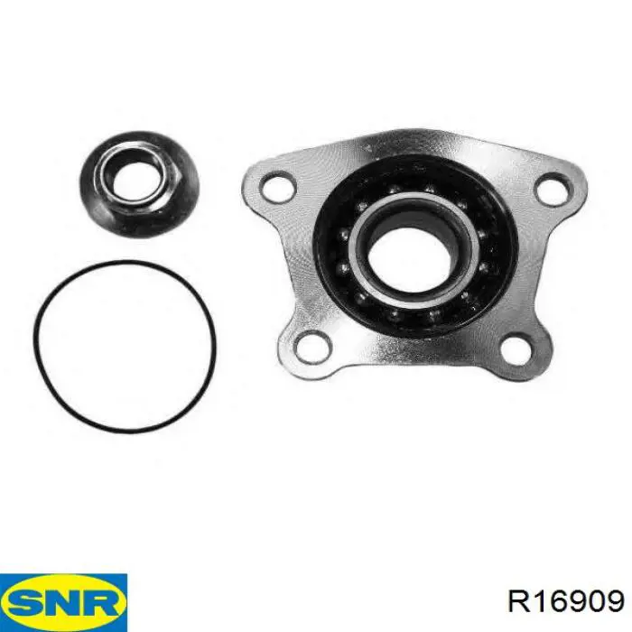 Cojinete de cubo delantero SNR R16909 precio, desde 32,81 EUR