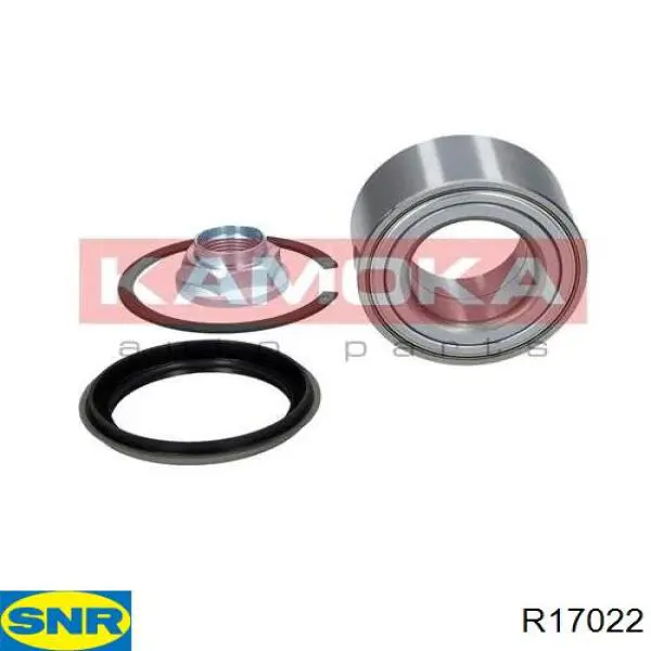 R17022 SNR Rodamientos de rueda delantero