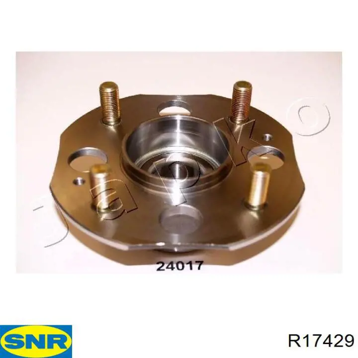 R174.29 SNR cubo de rueda trasero