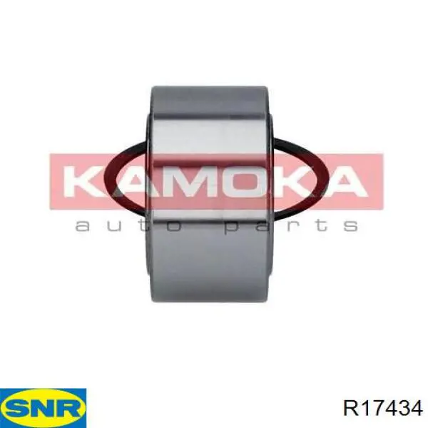 Rodamiento de rueda delantero SNR R17434