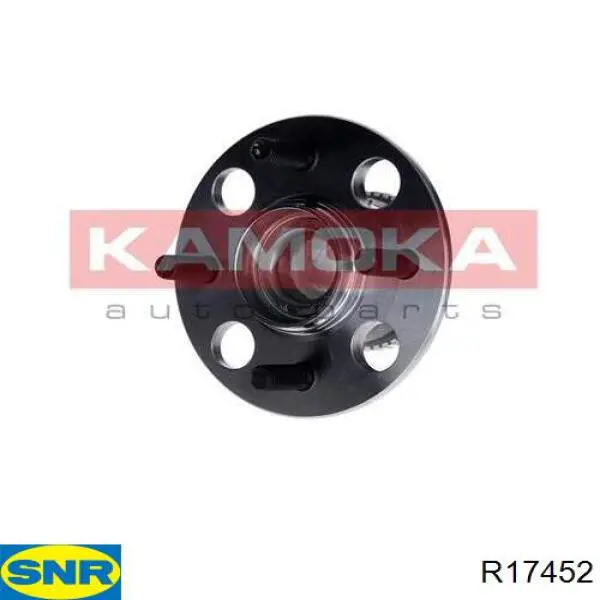 R174.52 SNR cubo de rueda trasero