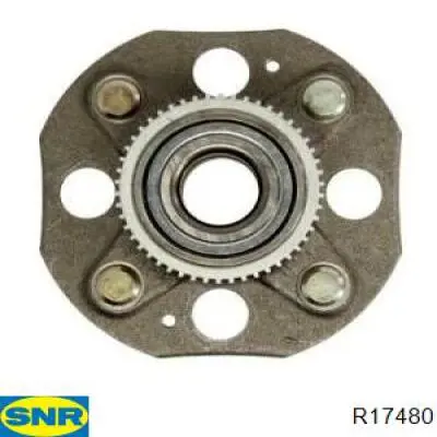 R17480 SNR cubo de rueda trasero