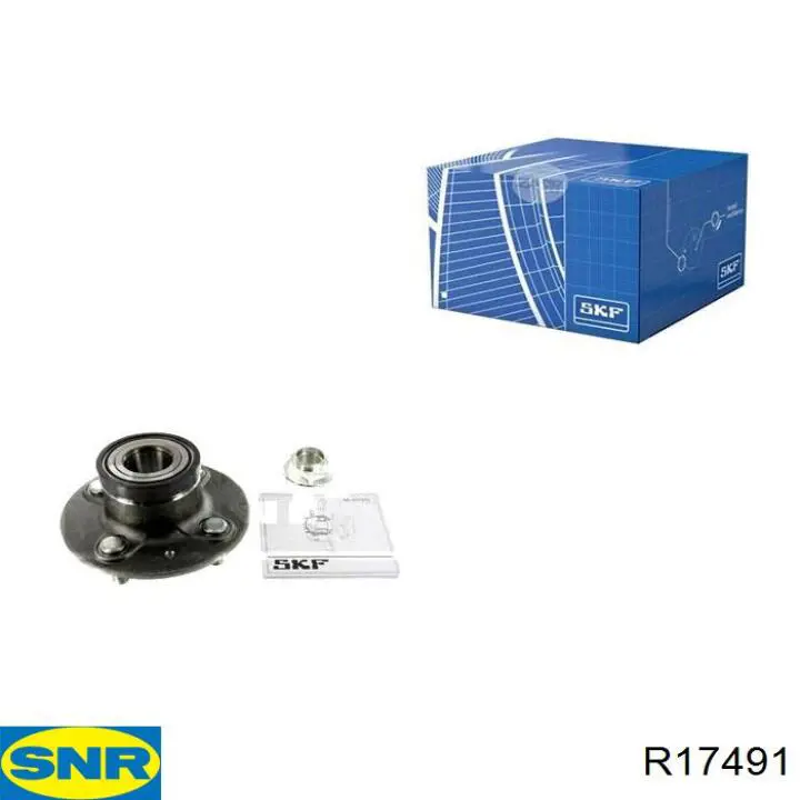 R17491 SNR cubo de rueda trasero