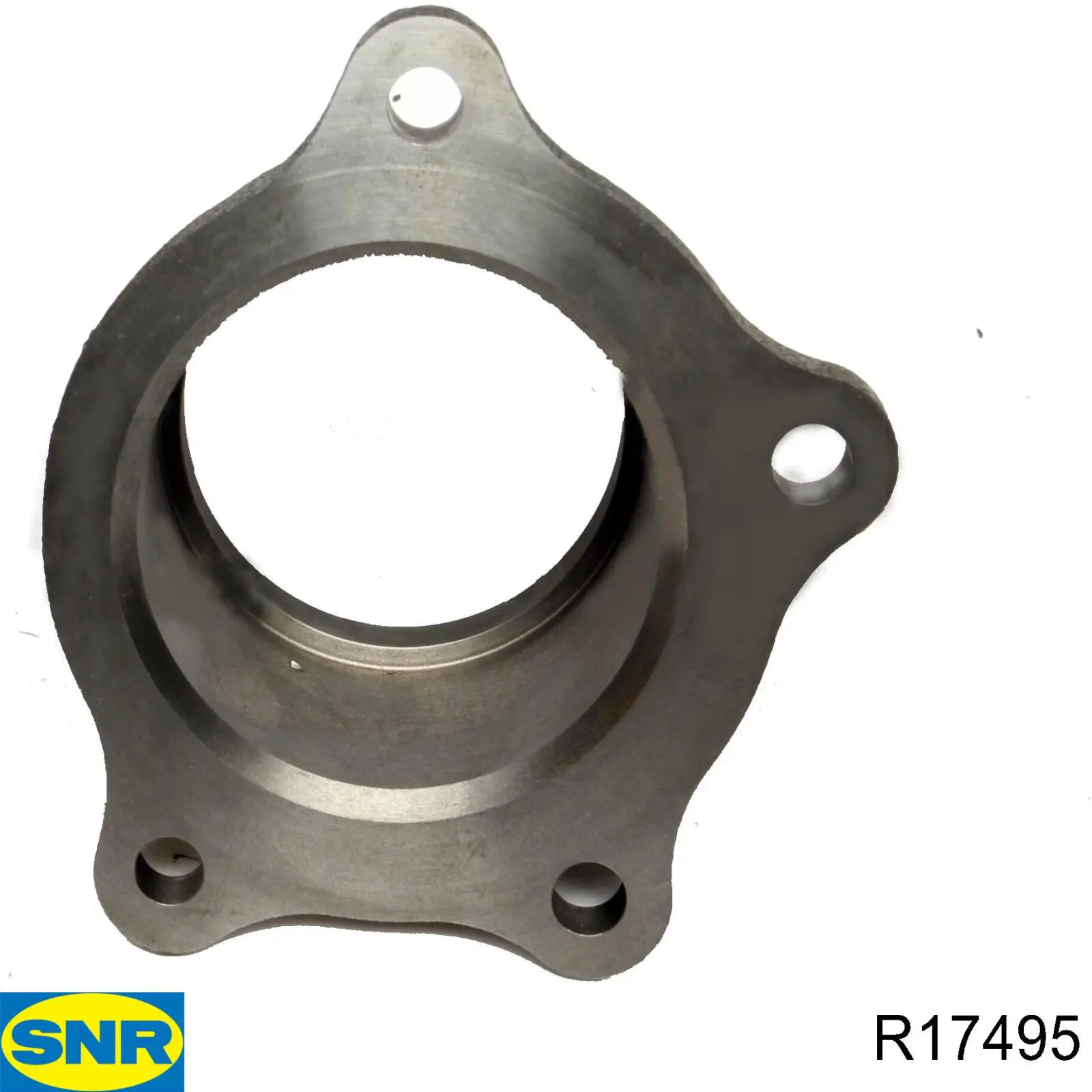 R174.95 SNR cojinete de rueda delantero