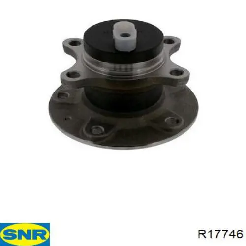 Cubo de rueda trasero R17746 SNR
