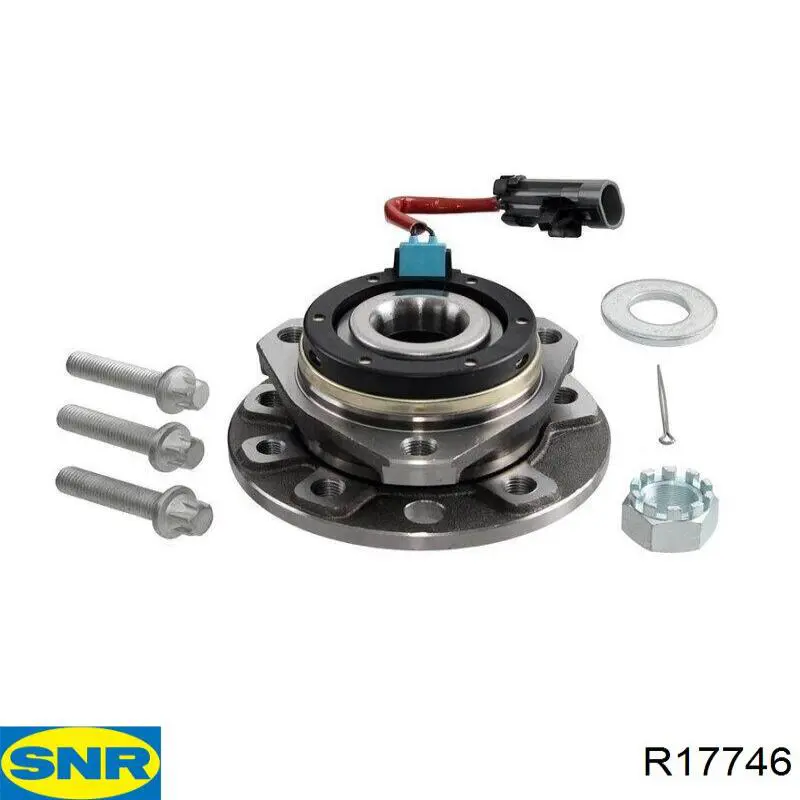 R17746 SNR Buje de rueda trasero