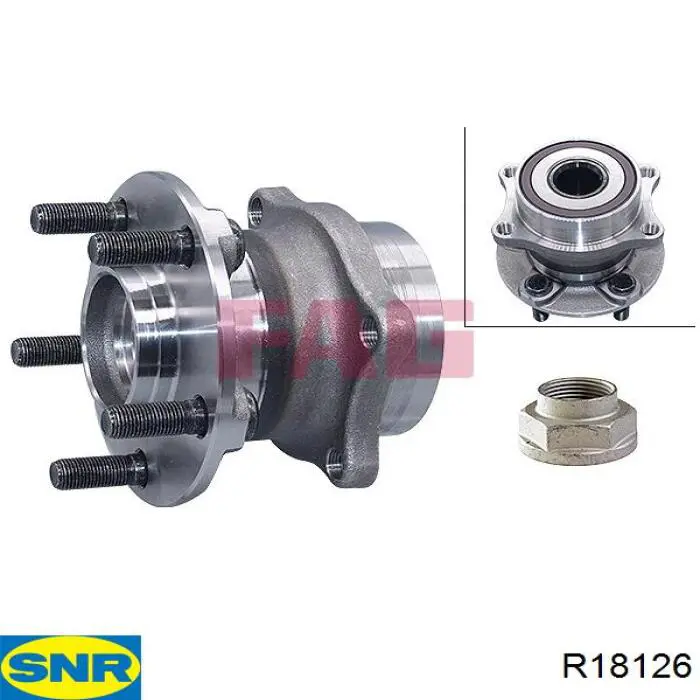 R181.26 SNR cubo de rueda trasero