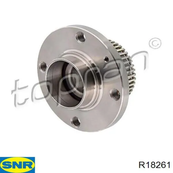 Comprar R18261 SNR Cubo de rueda, Eje trasero