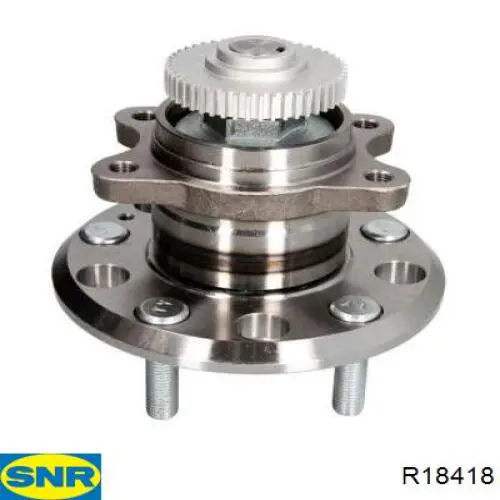 Cubo de rueda trasero R18418 SNR